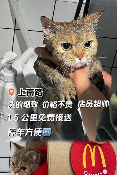 主子都觉得好的洗澡体验～[笑脸]
