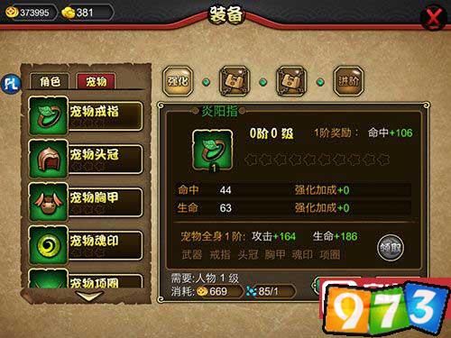 宠物装备