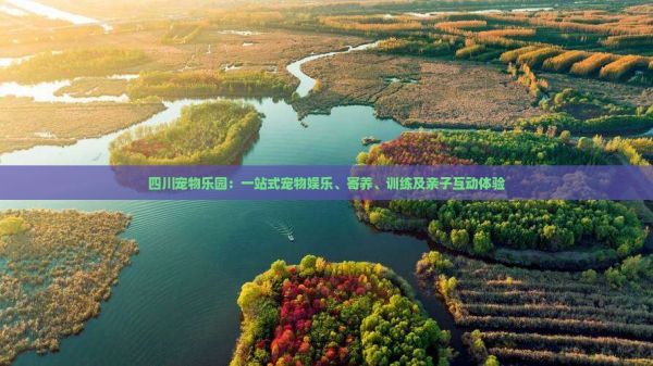 四川宠物乐园：一站式宠物娱乐、寄养、训练及亲子互动体验
