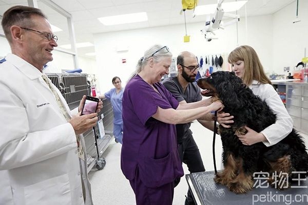 被宠物狗划伤需打疫苗吗