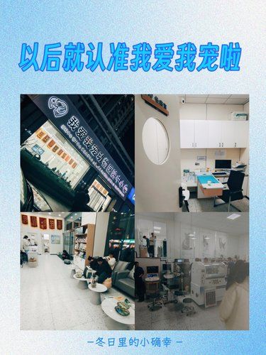 以后就认准我爱我宠啦