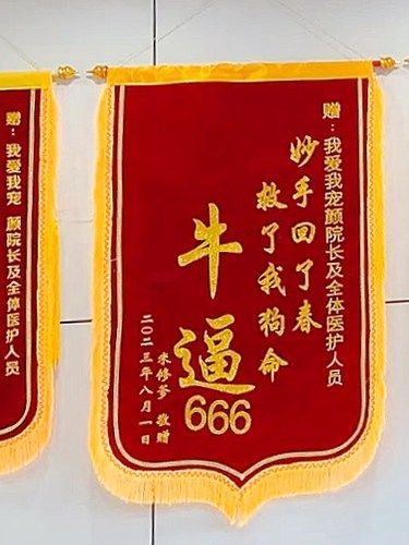 青岛果然是大城市啊。。。