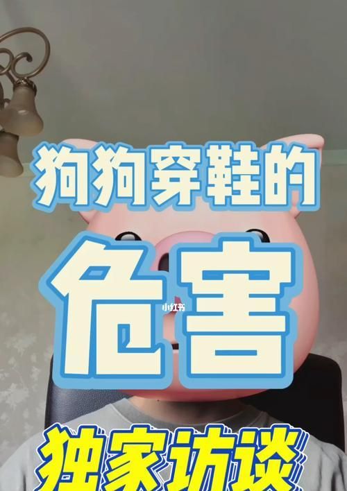 狗狗出门（宠物鞋的利弊分析，为狗狗健康着想）