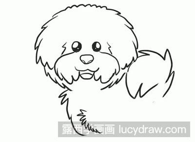 简笔画教程怎么画泰迪