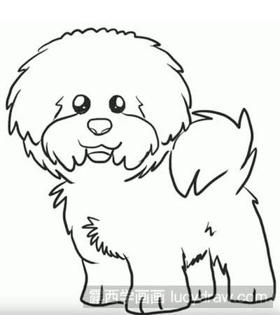 简笔画教程怎么画泰迪