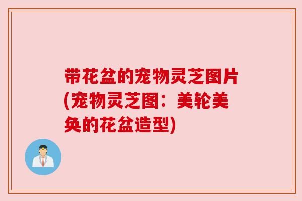 带花盆的宠物灵芝图片(宠物灵芝图：美轮美奂的花盆造型)