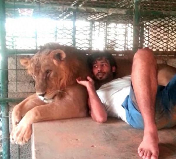 我们养猫，迪拜人养大猫，没有点胆量还真不太敢去迪拜！