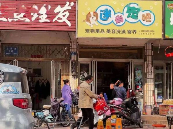濮阳宠物-濮阳宠物市场