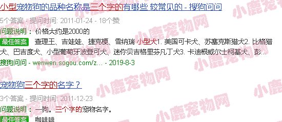 三个字的小型犬