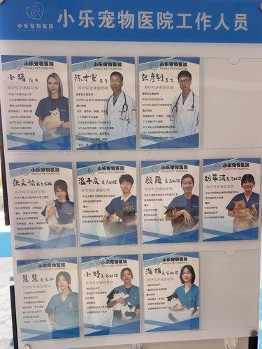 小乐宠物医院陈江分院医术超赞 医心更美~
