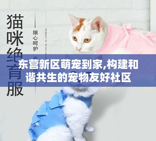 东营新区萌宠到家,构建和谐共生的宠物友好社区