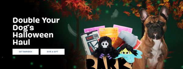 宠物品牌Barkbox如何靠“盲盒打法”玩转海外营销？
