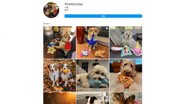宠物品牌Barkbox如何靠“盲盒打法”玩转海外营销？