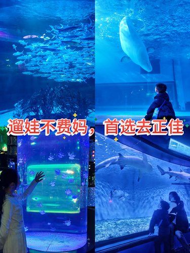 遛娃不费妈，首选去正佳‼️