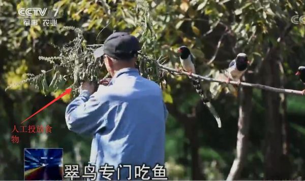 聚焦三农