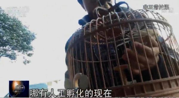 聚焦三农