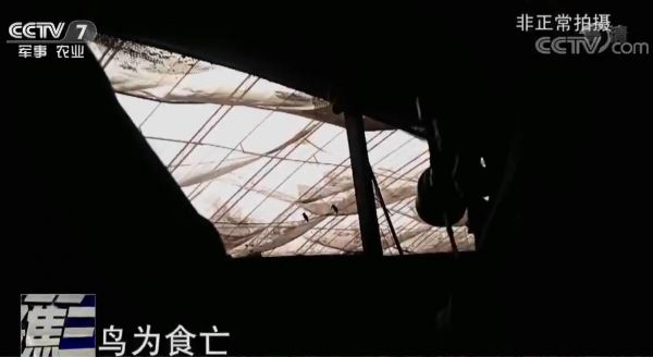 聚焦三农