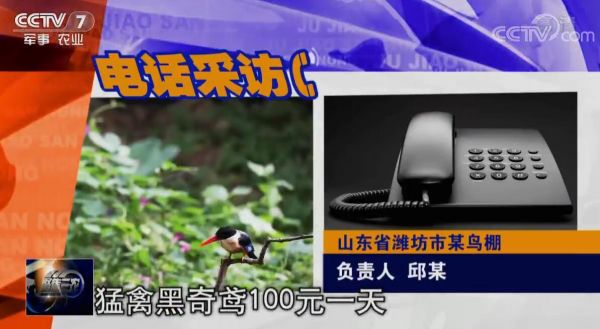 聚焦三农