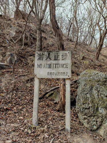 自始至终，选择比努力更重要