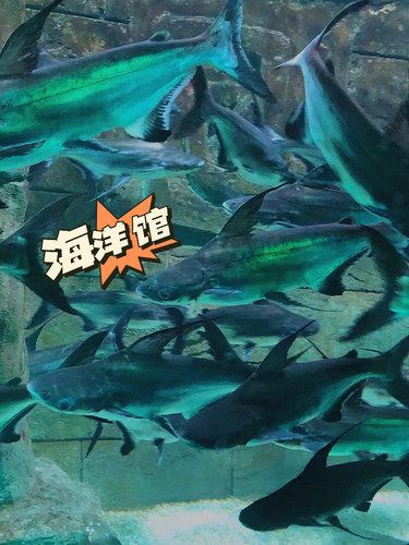 居然在金华也能看到海底星空适合周末遛娃&散步‍♀️的好去处