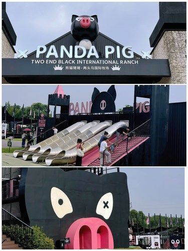 杭州周边遛娃｜两头乌猪猪乐园真的好好玩✅
