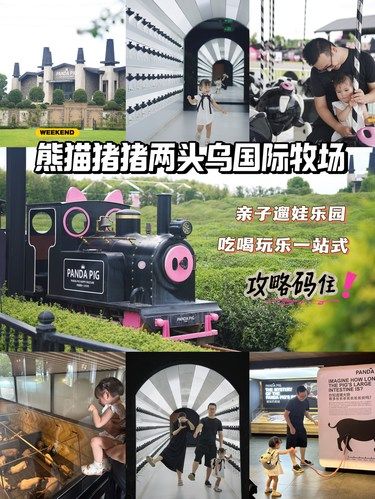 猪的快乐老家｜带娃二刷熊猫猪猪乐园！