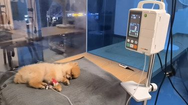 医术超赞 医心更美~