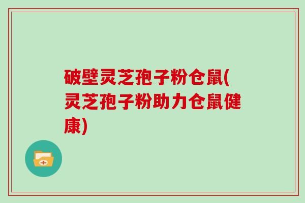 破壁灵芝孢子粉仓鼠(灵芝孢子粉助力仓鼠健康)