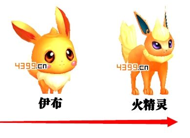 口袋妖怪伊布进化流程