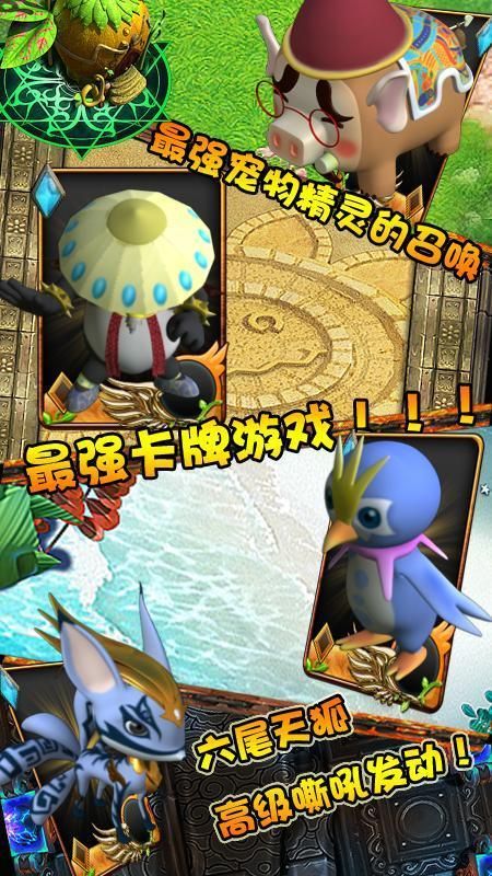前锋萌宠乐园攻略，带你领略宠物的魅力
