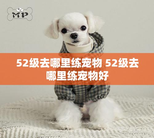 52级去哪里练宠物 52级去哪里练宠物好