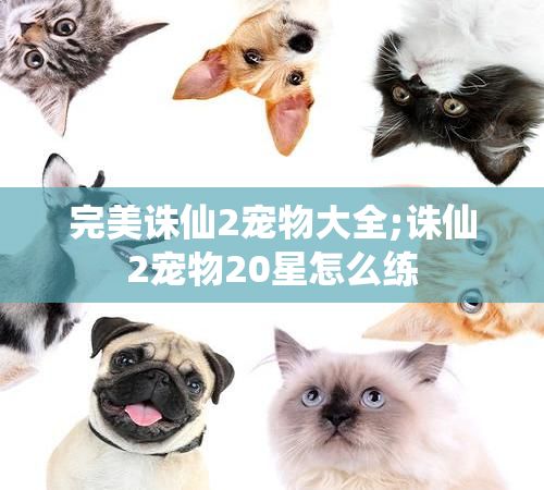完美诛仙2宠物大全;诛仙2宠物20星怎么练