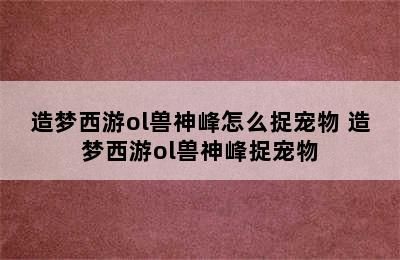 造梦西游ol兽神峰怎么捉宠物 造梦西游ol兽神峰捉宠物
