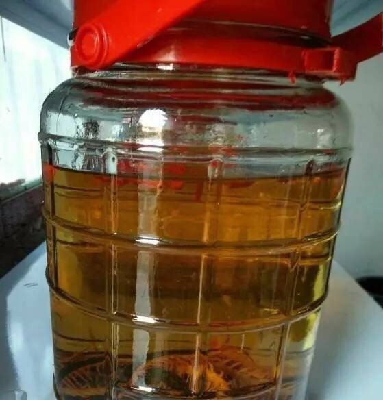 形容吊床的词语有哪些_猫咪冬天必备用品