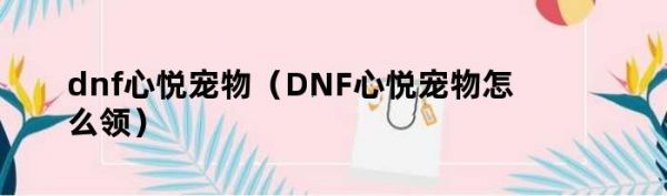 dnf心悦宠物（DNF心悦宠物怎么领）