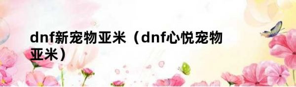 dnf新宠物亚米（dnf心悦宠物亚米）