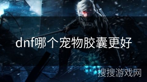 dnf哪个宠物胶囊更好