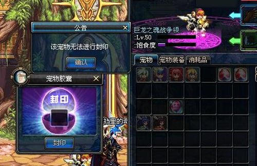 dnf手游宠物封印胶囊用不了怎么办