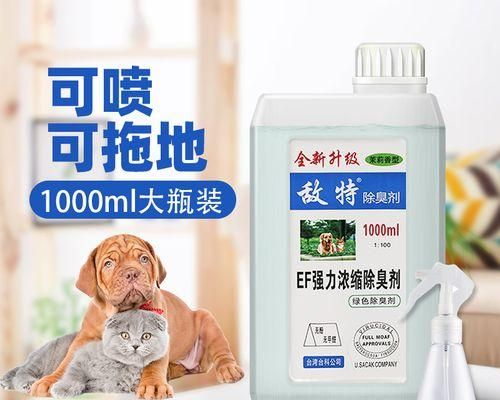 如何预防宠物猫狗细小传染（掌握细小传染途径）