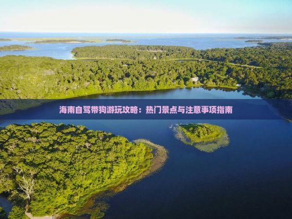海南自驾带狗游玩攻略：热门景点与注意事项指南