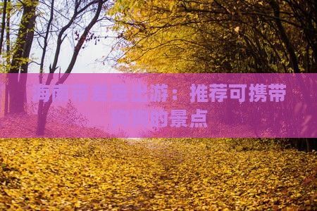 海南带爱宠出游：推荐可携带狗狗的景点