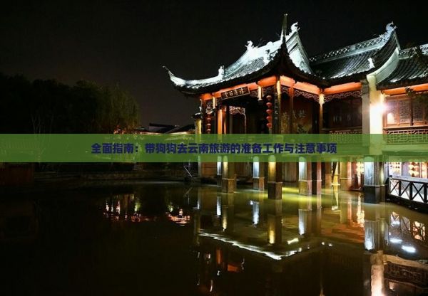 全面指南：带狗狗去云南旅游的准备工作与注意事项
