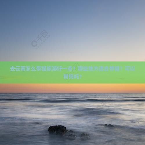 去云南怎么带猫旅游好一点？哪些地方适合带猫？可以带狗吗？