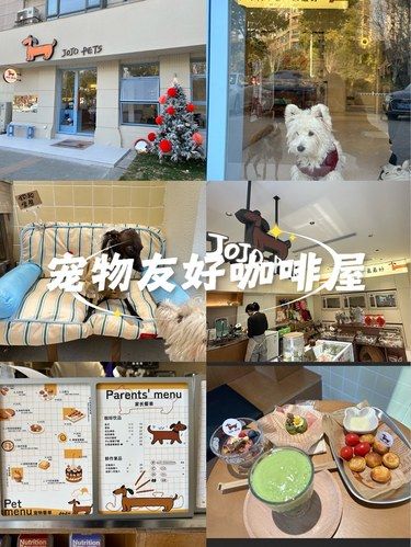 狗狗的快乐，我的快乐