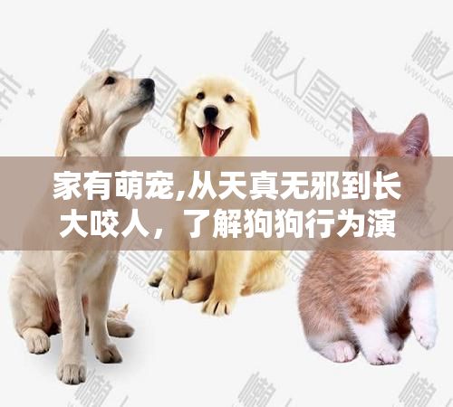 家有萌宠,从天真无邪到长大咬人，了解狗狗行为演变背后的科学