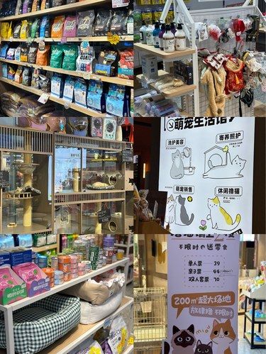 宠物美容洗澡寄养避雷指南