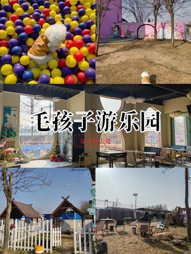 猫狗情报局毛孩子专属乐园