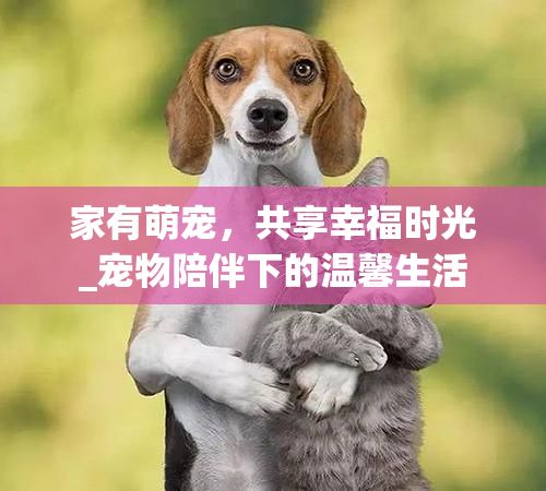 家有萌宠，共享幸福时光_宠物陪伴下的温馨生活