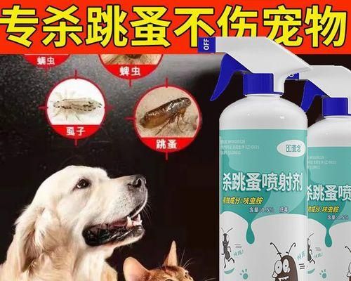 新宠物小猫到家有跳蚤怎么办（宠物养护必知）