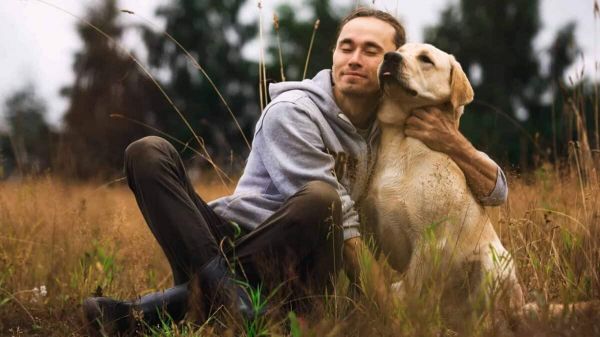 Labrador hugs man